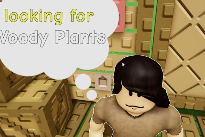 Обновление Grow A Garden: все о деревянных растениях и Бинстоке