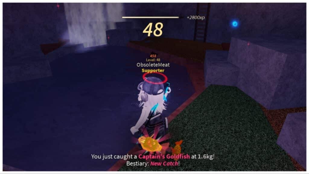 На изображении показана спина игрока, ловящего Капитанского Золотого Карася, с отображением счетчика опыта вверху